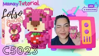 I BUILD LOTSO C5023 BRICKS TUTORIAL