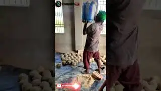 new fish feed making process #shorts #fishinfo #fishfeed #food