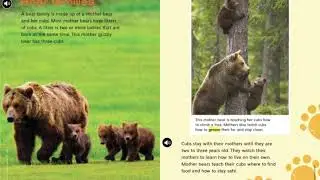 2nd Grade McGraw Hill Wonders U2 W4 Baby Bears Story Selection