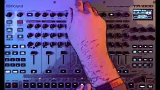ROLAND TR1000 TEST KORG MINIPOPS SAMPLES (STEP & MORPH) NO TALKING