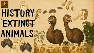 HISTORY OF EXTINCT ANIMALS | When Moa Birds Ruled the Roads of Ancient New Zealand