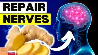 Heal NERVE DAMAGE With These 10 Foods
