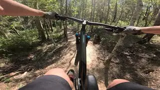 Mt Cotton West Link and Shenanigans - Cornubia and Eastern Escarpment mtb Trails