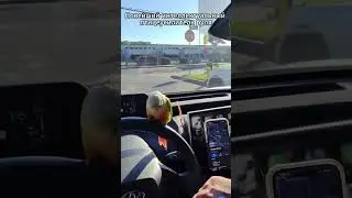 Новейший интеллектуальный птицеусилитель руля.