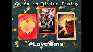 Cards in Divine Timing - Unity, Sacred Revolution, & A New Gown