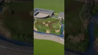 Planet Zoo: Знаете ли вы, что можете это сделать? #шорты