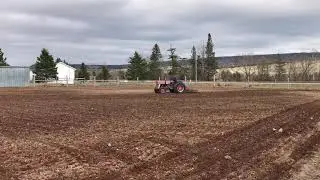 MF135 with a Massey Ferguson harrow