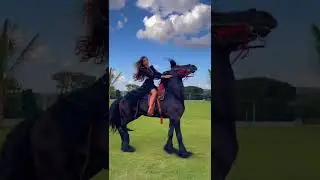 Beautiful girl riding a Friesian horse