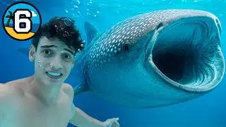 🚨Tuve los Encuentros m&aacute;s Peligrosos y &Eacute;picos del Mundo🚨  D&iacute;a 6 de 7 viviendo en la playa