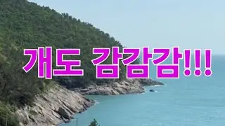 여수 개도 감감감!!!