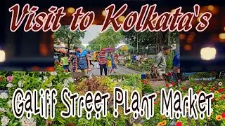Visit to Kolkata's Galiff Street Market. Every kind of Plants and Gardening materials are available
