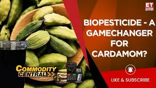 Commodity Central: 'Biopesticide Is Effective And Easy To Use For Cardamom' | Dr. C.M. Senthil Kumar