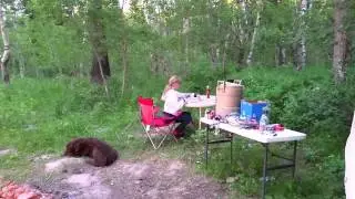 CAMPING WITH THE KIDDOS