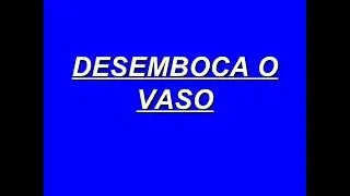 Desemboca o vaso — Kelly Brandão