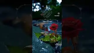 10 octobre 2024 do3at sabh  amin yarbi of9ni fkolkhto oisramri fkoli 3atb 🤲🤲🤲🤲🤲❤️🇲🇦