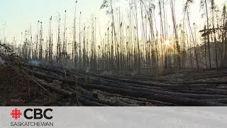 Prince Albert Grand Council sounds the alarm about the upcoming wildfire season