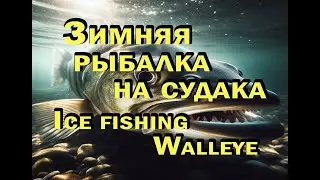 Зимняя рыбалка на судака | Ice Fishing walleye | Ice Fishing Red Lake