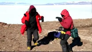 The Penguin Dance--Staying warm along the Beardmore Glacier