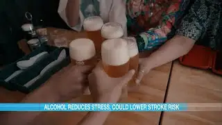 Alcohol reduces stress, lowers stroke risk and obesity changes the brain