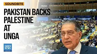 Pakistan Stresses To Put ICJ Advisory Opinions On Gaza | Dawn News English