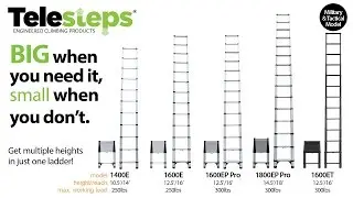 Telesteps Extension Ladders