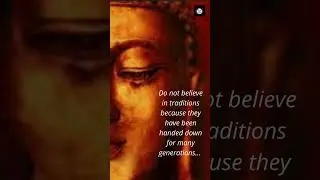 Enlightening Buddha Quote #shorts #youtubeshorts #quotes #buddha #inspirational #buddhaquotes