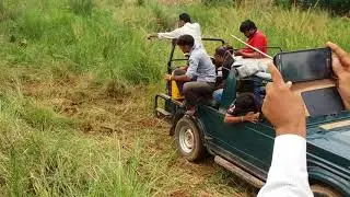 Last moment of Machli_ T 16 on 18.08.2016 at Ranthambore