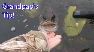 Grandpap's Wisdom: Catching Bass in a Windy Fall Feed!