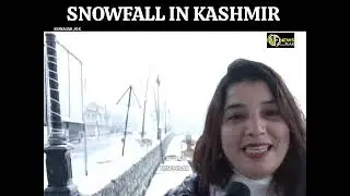 Fresh Snowfall Blankets Srinagar, Tourists Soak in Magical Kashmir Winter