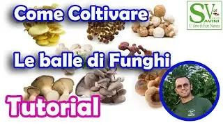 Come Coltivare i funghi in casa coltivati di diverse tipologie