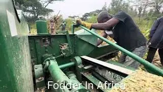 Modern Fodder Machine Revolutionizing Animal Feed in Africa | NEW VIKAS CHAFF CUTTER