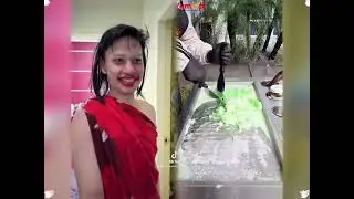 🤣👌👌👌2026 pov Must-Watch Crazy Clips Compilation #humor #fypシ #pov #fyp #foryou 😍😜