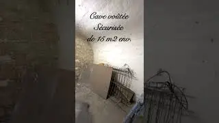 Cave Paris 8 eme