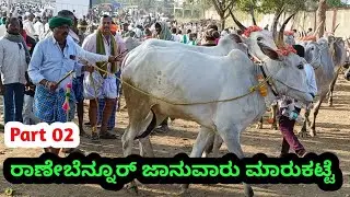 Part 02 ರಾಣೇಬೆನ್ನೂರ್ ದನಗಳ ಮಾರುಕಟ್ಟೆ || Ranebennuru Cattle Market || ಪ್ರತಿ ಭಾನುವಾರ ಬೆಳಿಗ್ಗೆ || 