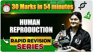 Human Reproduction - NEET Rapid Revision Series | PW Vidyapeeth NEET | Zoology | Surbhi Mam