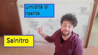 Come risanare un muro affetto  da umidit&agrave; di risalita e da salnitro(muffa bianca)