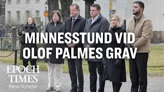 Kransl&auml;ggning p&aring; Olof Palmes grav