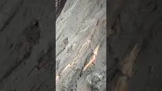 Hand-Sculpted by Our Family: dark Rock Wall