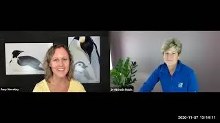 What are the four quadrants of wellness with Dr  Michelle Robin