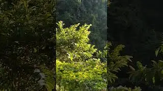 EcoHotel Termales El Escondite en Caldas Colombia.🇨🇴