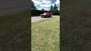 69 Camaro zz572/620 getting down!!! #camaro #burnout #chevrolet #cratemotor #asmr