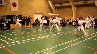 48. Shotokan Cup 2015 - Kata  -  Fie Nielsen Vs Vibeke Nielsen
