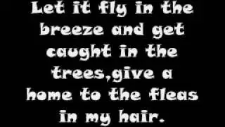 Hair- Song Hair Lyrics
