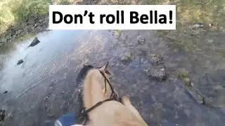 Белла хочет поиграть в воде, поэтому мы уделяем ей время 🐠