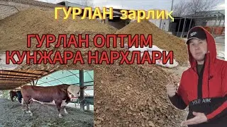 🔥🔥ГУРЛАН ОПТИМ КУНЖАРА КЕПАК НАРХЛАРИ🔥🔥🦬🦬🐑🐟✅2025.11.09.