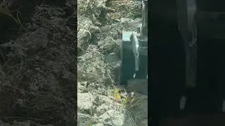 Ground Hornet Nest vs Excavator 💣👋