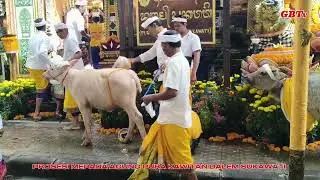 PROSESI MEPADA AGUNG DI PURA KAWITAN DALEM SUKAWATI, 23 DESEMBER 2025  #bali  #upacaraadatbali 