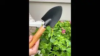Home Garden Small Shovel Plant Pot Soil Rotating Tool Flower Rake Kids Beach Sand Fun Tools