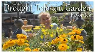 Thriving in Sunshine: Drought-Tolerant Favorites for a Delightful, Resilient Oasis! ☀️🌻 #zone9b