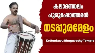 Kottankavu Bhagavathy Temple Nadappura Melam | Makara Bharani Maholsavam